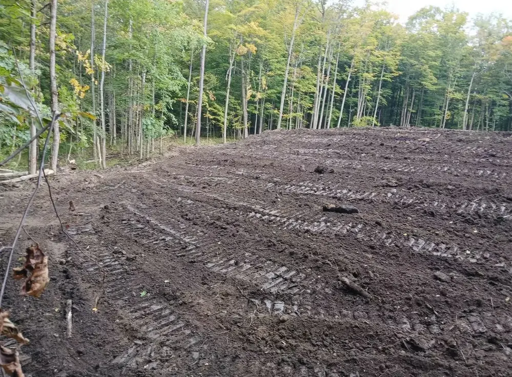 Cleared and graded wooded building lot with tracked machine marks, land clearing by Landmark Enterprises in Dewittville, NY