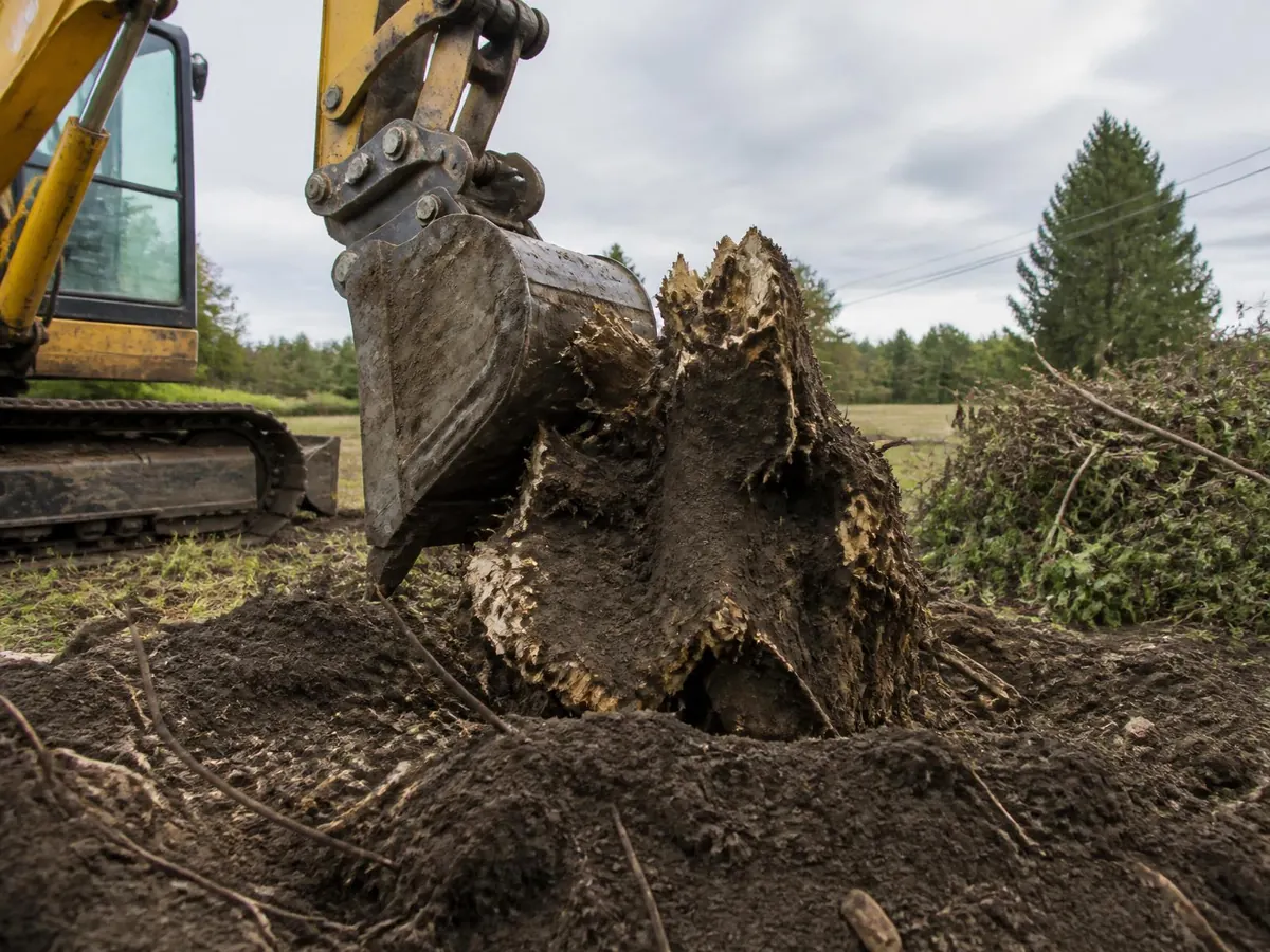 Excavator prying a large tree stump from the soil during stump removal on a Western New York lot
